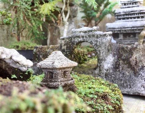 mossy temple of a moss garden | Mini zen garden, Zen garden, Moss garden