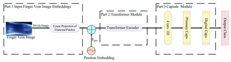 The overall architecture of the ViT-Cap model. | Download Scientific ...