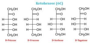 Monosaccharides Short Lecture Notes | EasyBiologyClass