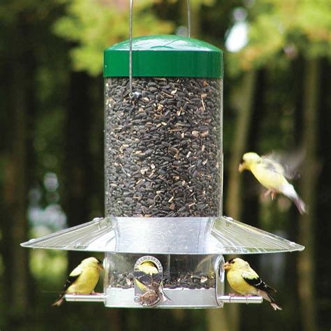 Birds Choice Hanging Bird Feeder with Baffle/Weather Guard - Walmart.com - Walmart.com