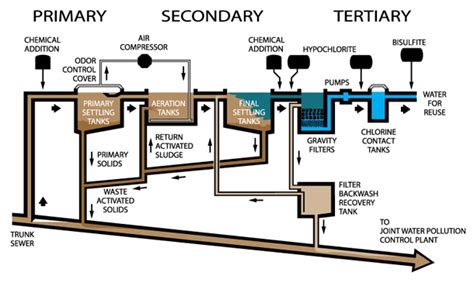 Sewage Treatment Plant Diagram Apes A Schematic Of Typical Wastewater ...