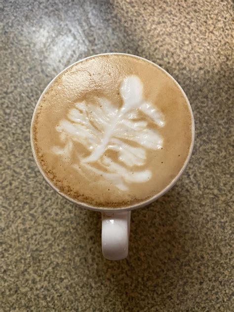 Latte art tutorials? Please 😂 : r/cafe