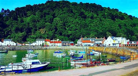 Minehead Harbour. West Somerset | Sea art, West country, Places