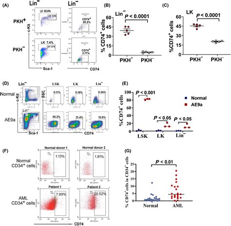 Slow‐replicating leukemia cells represent a leukemia stem cell ...