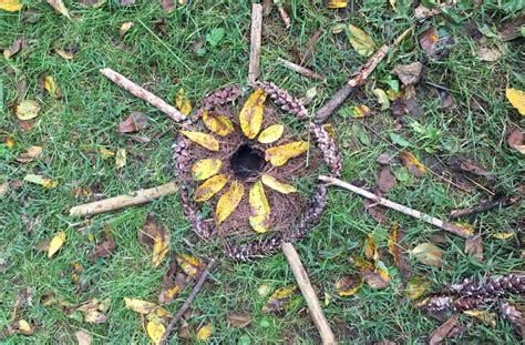 How to Inspire Your Students With Artist Andy Goldsworthy - The Art of Education University