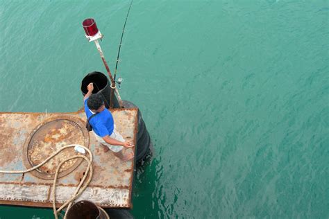 Fishing Off the Pier | 00ff00.com