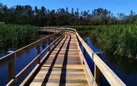 Have you seen the Bay Water Gardens lately?