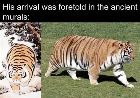 Saw this on r/memes the tiger that tiger king made : r/LoverFella