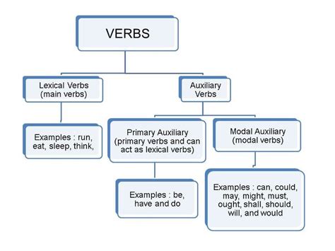 transitive verb examples - Google Search | Verb examples, Helping verbs, Main verbs