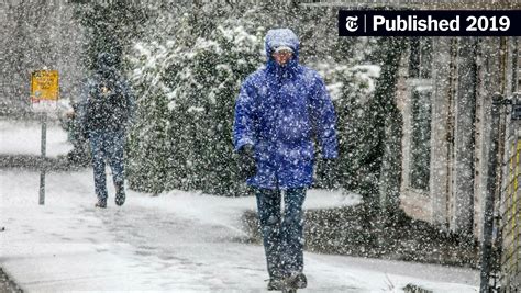 Seattle Hit by Unusually Heavy Snowfall Moving Across Pacific Northwest ...