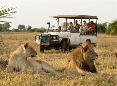 Wildlife-Spotting Adventures on Safari Holidays in Africa