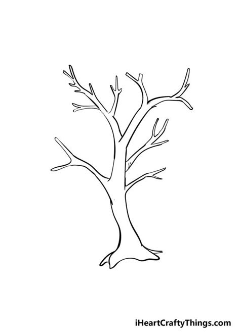 Branches Drawing - How To Draw Branches Step By Step