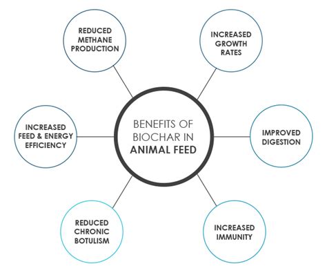 Biochar: Applications in Animal Husbandry