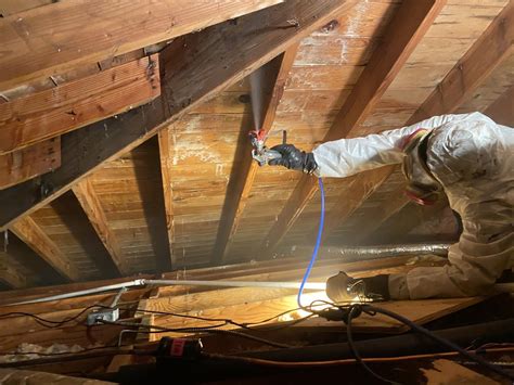 Best Ways To Deal With Mold In Your Attic | Attic Mold Removal