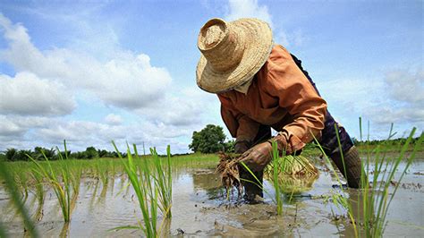 What is Regenerative Agriculture, and How Can It Help Filipino Farmers?