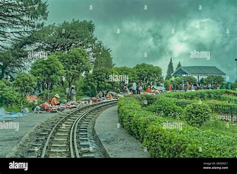 Darjeeling, West Bengal, India-05.26.2023. railway track in the garden ...