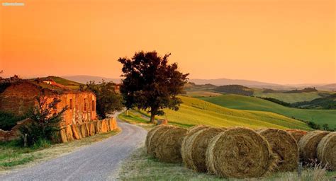 Italy Tuscany Farm Wallpaper Hd Nature 4k Wallpapers - vrogue.co