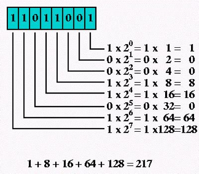 Binary to Decimal Conversion Calculator