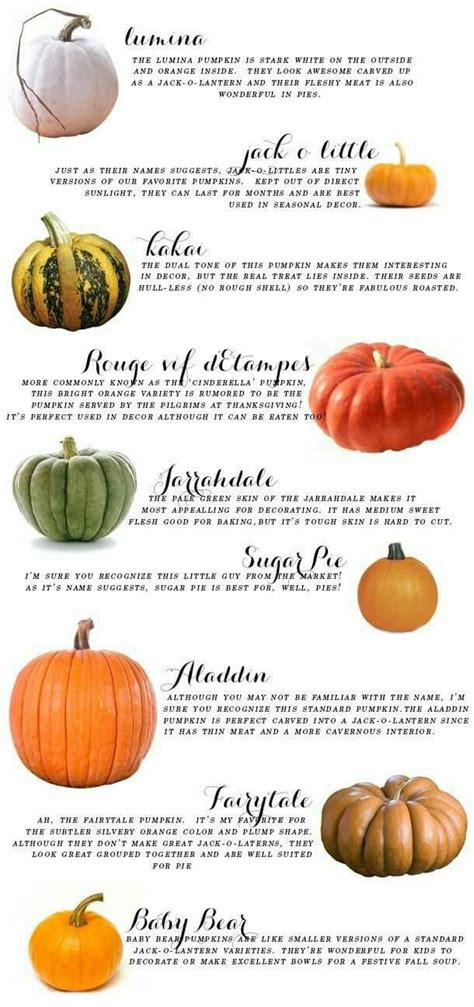 Are All Pumpkin Varieties Edible