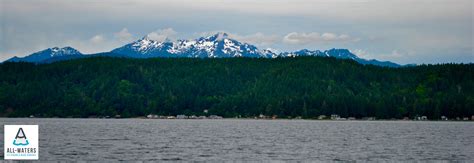 Welcome To Washington's Hood Canal - All-Waters Fly Fishing