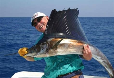 Best Times & Seasons to Fish in Key West (Complete Guide) - Freshwater Fishing Advice