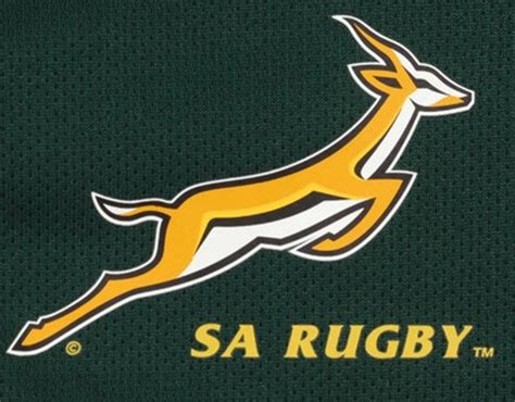 SA Rugby cut budget but Springbok Tests still planned | George Herald