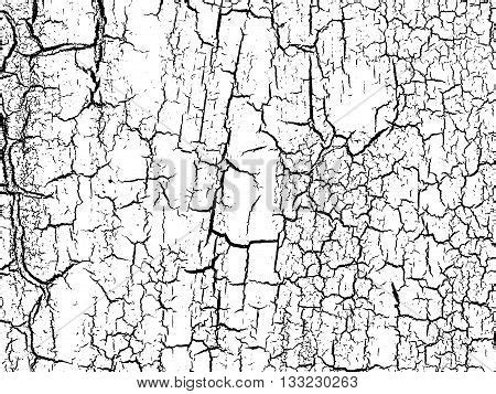 Cracks Texture Vector & Photo (Free Trial) | Bigstock