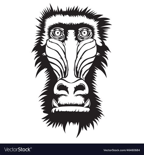 Baboon monkey face Royalty Free Vector Image - VectorStock