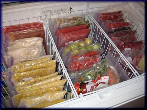 10 Freezer Storage Hacks: How to Organize Your Freezer - Craftsy Hacks