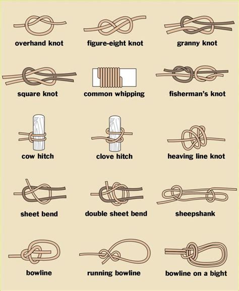 How to Tie Knots | Types of knots, Tie knots, Fishermans knot