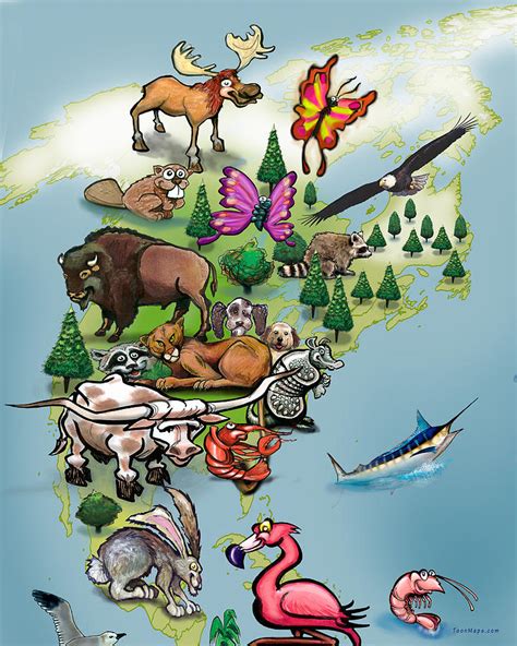 North American Animals Map Digital Art by Kevin Middleton