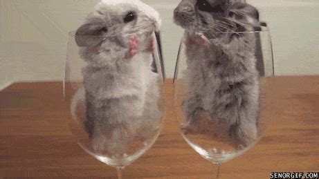 Romance Kissing GIF by Cheezburger - Find & Share on GIPHY