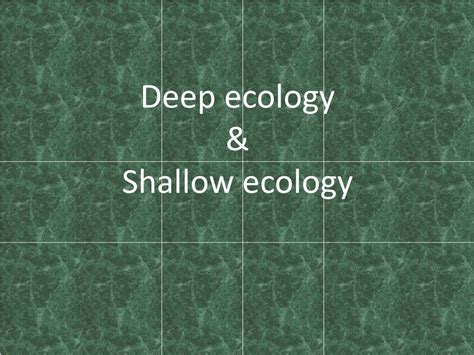 PPT - Outline & Shallow and Deep Ecology PowerPoint Presentation - ID:2225180