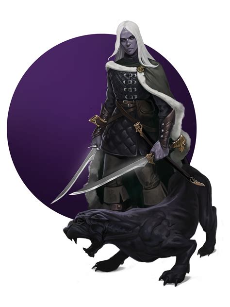 [Art] Drizzt and Guenhwyvar Forgotten Realms Fan art Illustration : r/DnD