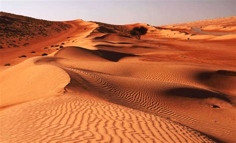 Desert Adventures - Native Eye's Favourite Top Ten