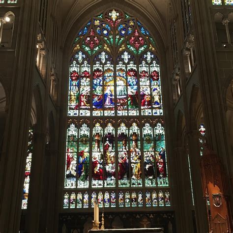 Some of the gorgeous stained glass in St. Mary's Cathedral Basilica of ...