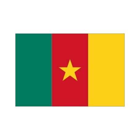 Drapeau du Cameroun ⚑ Histoire et vente du pavillon camerounais