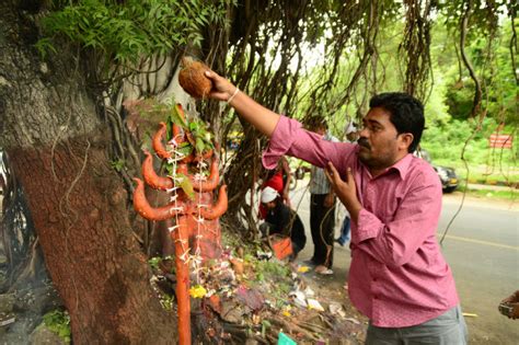 Nag Panchami 2017: Photos of Nag Panchami Rituals and Prayers in ...