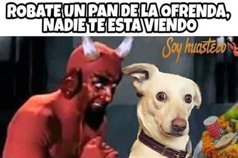 día de los muertos meme - Google Search | Funny animals, Memes, Animals