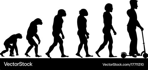 Monkey Human Evolution Chart