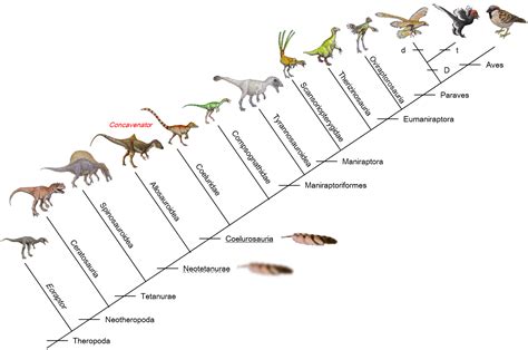 Palaeos, la historia de la Vida en la Tierra: Dientón, jorobado y ¿emplumado?