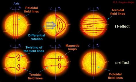 The Sun's Magnetic Field - Science News