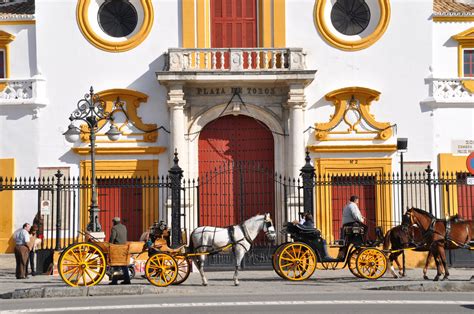 Flamenco in Seville Embodies Alluring Cultural Heritage