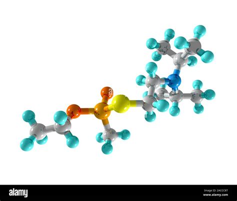 VX nerve agent. Computer model of a molecule of the nerve agent VX. VX blocks the action of an ...