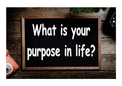 What is Your Purpose in Life?