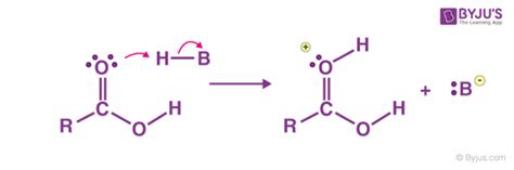 Fischer Esterification Mechanism - Detailed Explanation with Examples