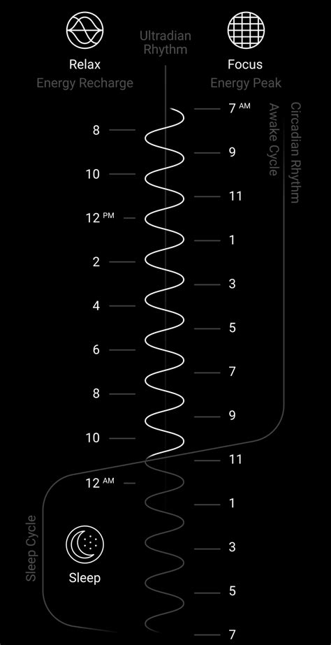 On ultradian rhythms and aligning your day to them