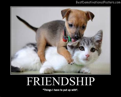 Pets Friendship - Motivational Poster