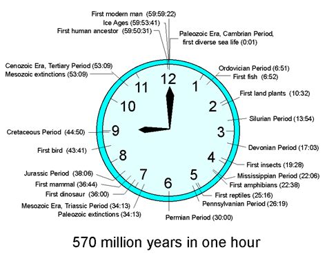 Time Clocks, Educational Resources for K-16