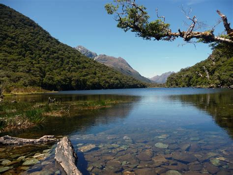 Hiking in New Zealand - We12Travel